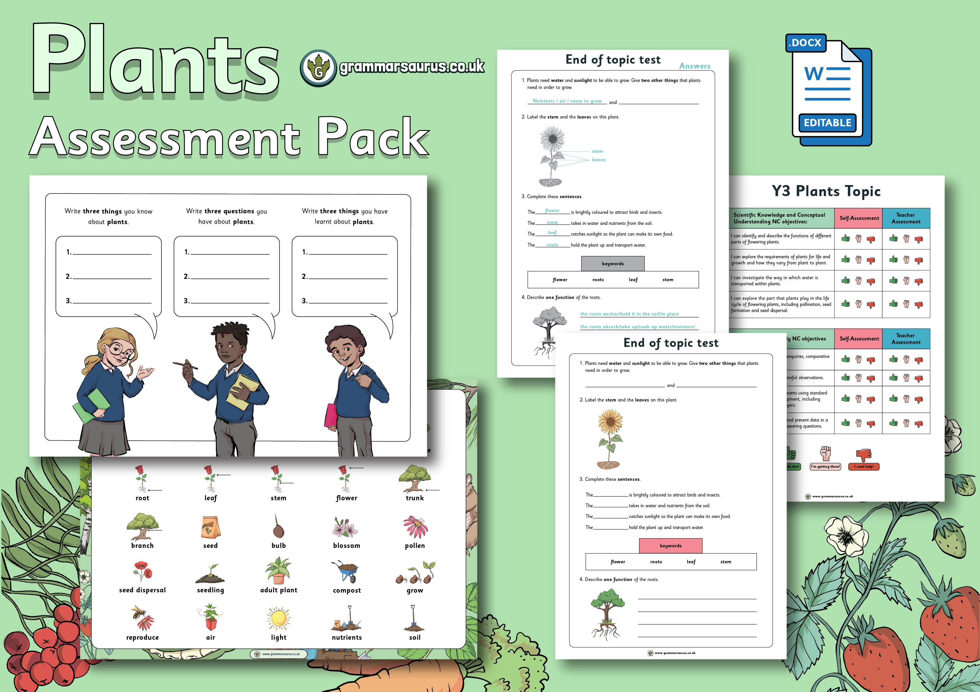 Year 3 Science - Plants - Assessment Pack - Grammarsaurus