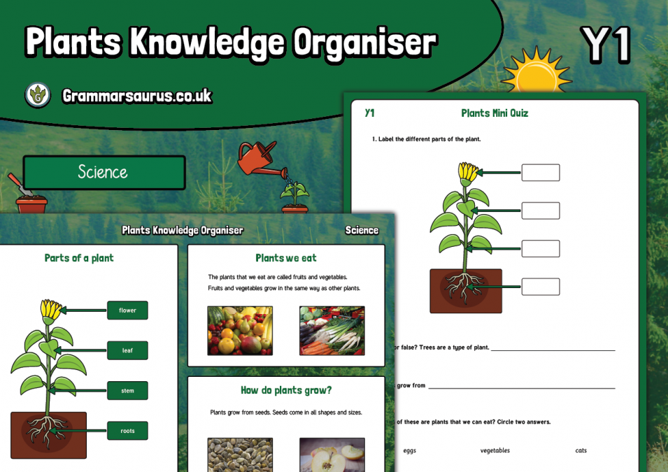 Year 1 Science Plants Knowledge Organiser Grammarsaurus 9101