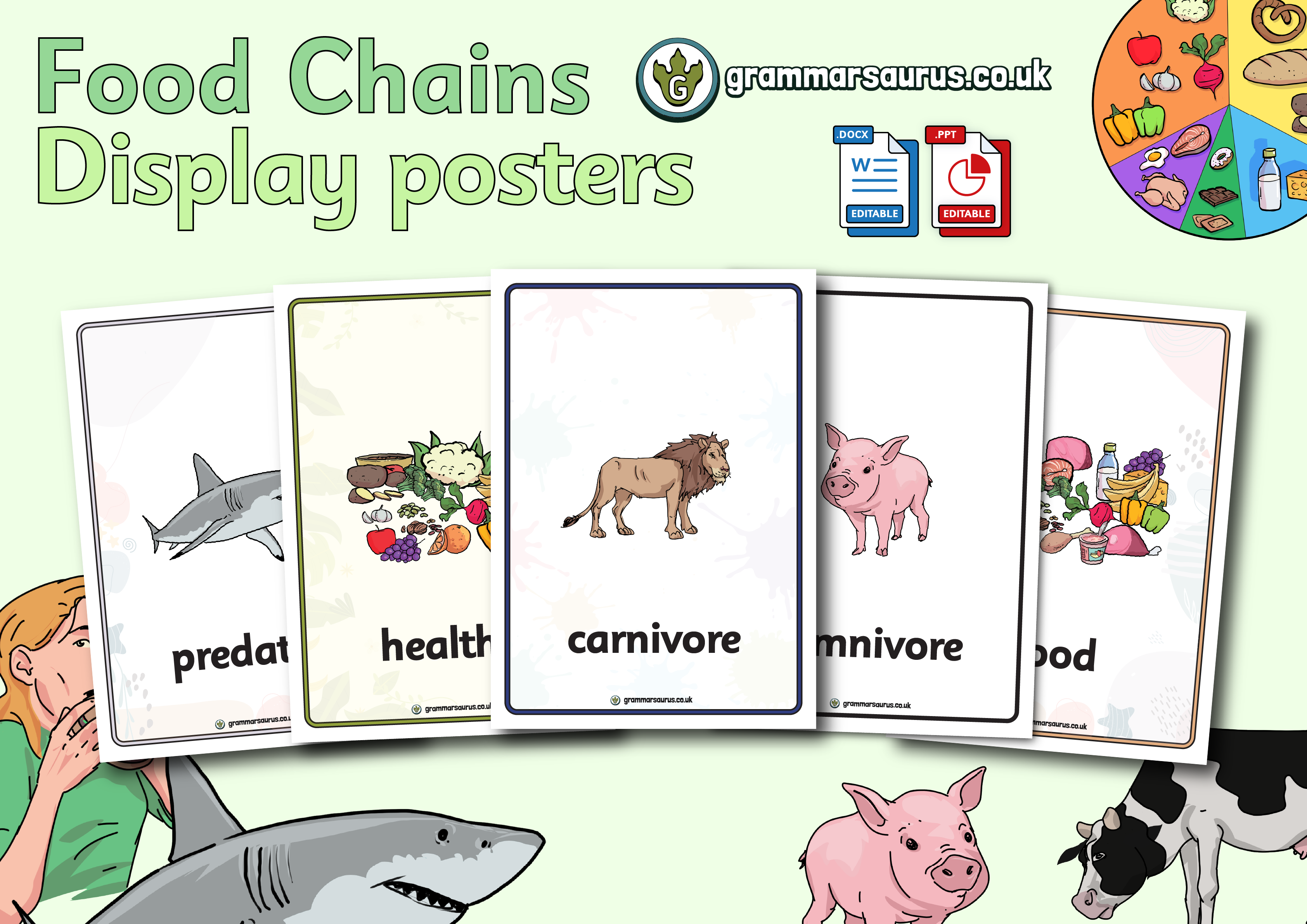 Science - Animals Including Humans - The Food Chain - Display Poster -  Grammarsaurus