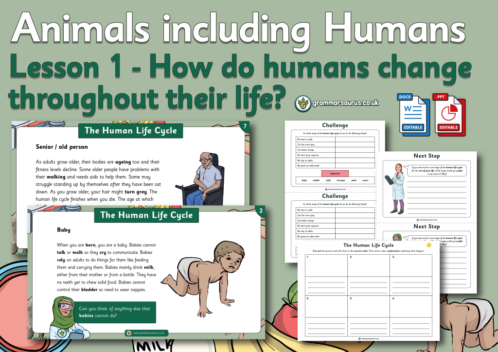 Year 5 Science Animals Including Humans How Do Humans Change