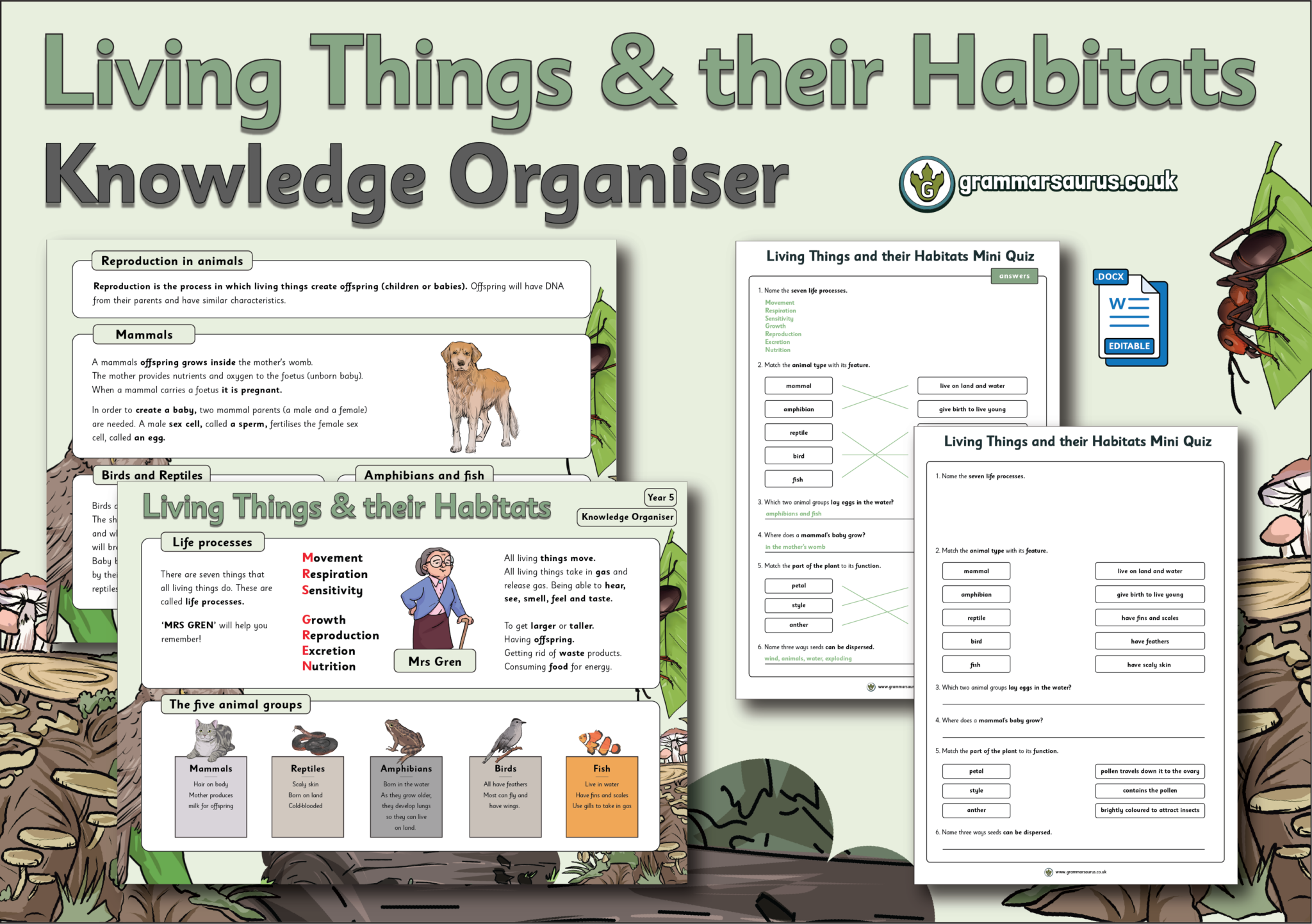 Year 5 - Living Things and their Habitats - Knowledge Organiser ...