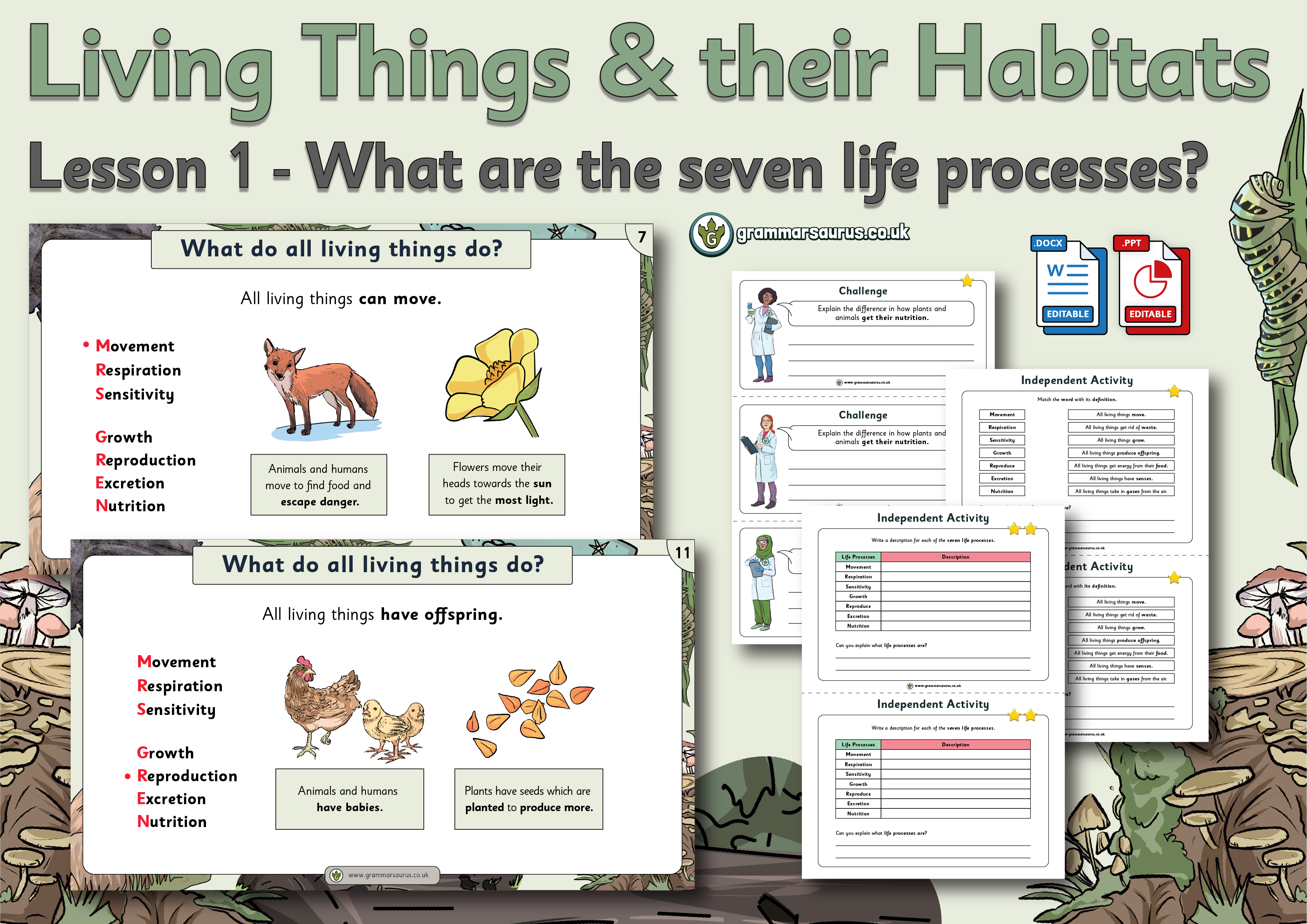 Year 5 Science - Living Things and their Habitats - What are seven life  processes? Lesson 1 - Grammarsaurus