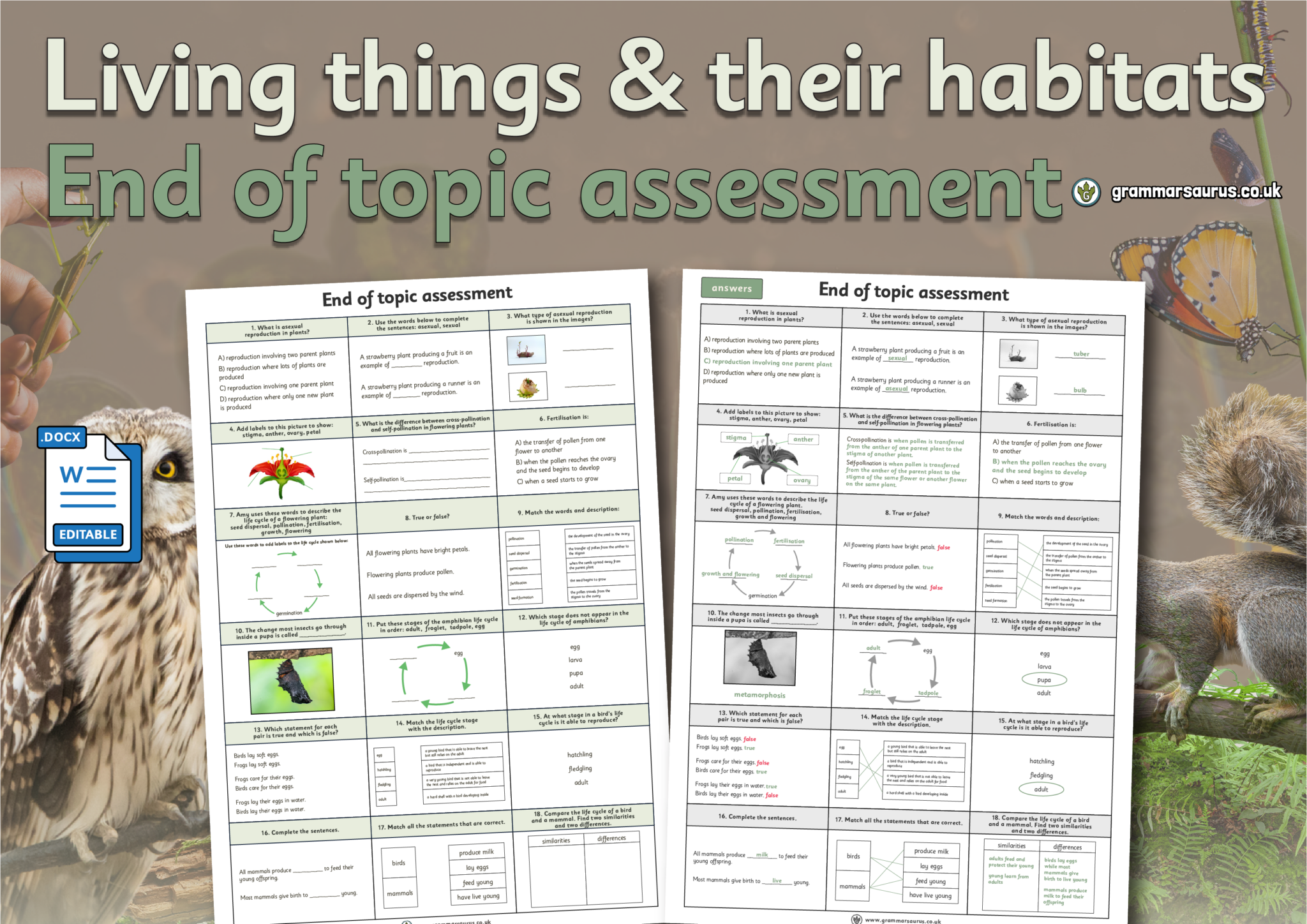 Year 5 Science - Living things and their habitats - End of topic ...