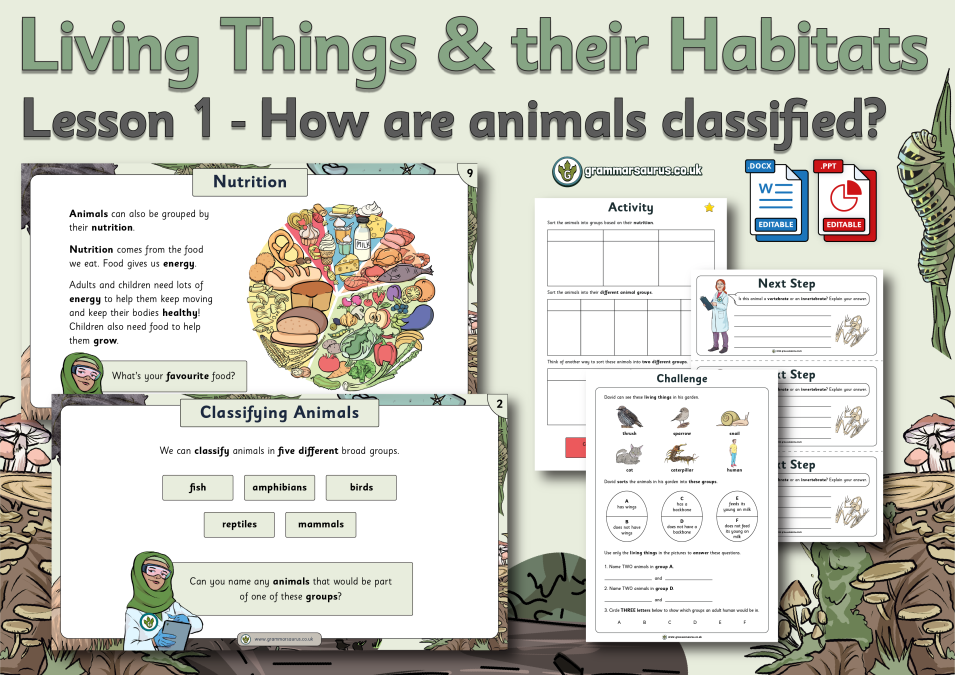 Year 6 Science - Living Things and their Habitats - How are animals  classified? Lesson 1 - Grammarsaurus