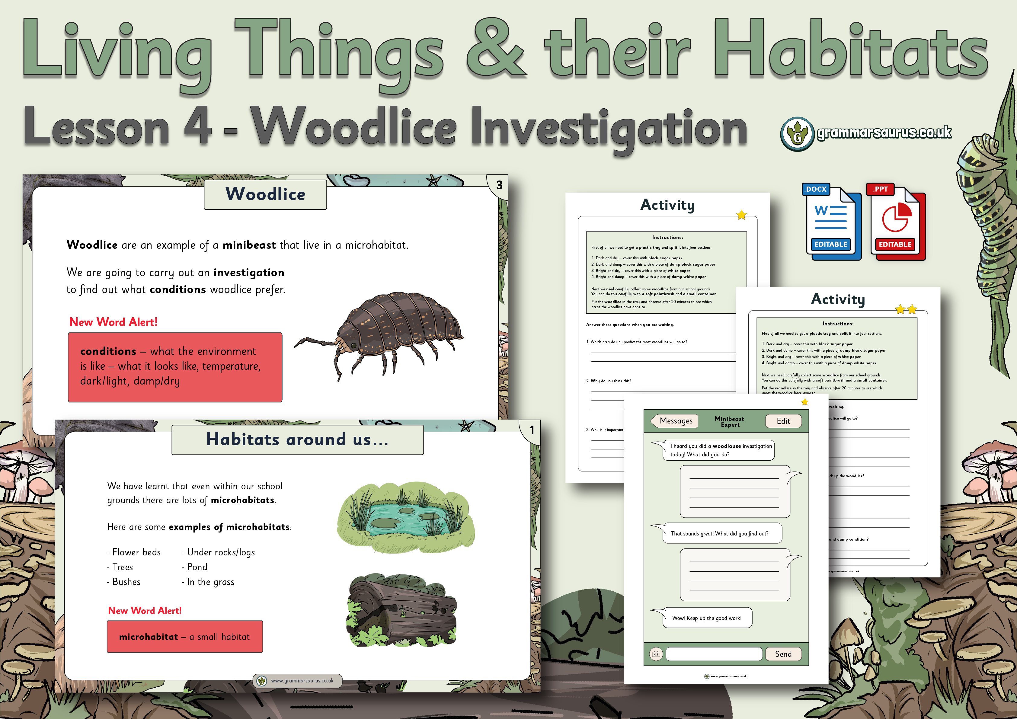 Year 2 Science Living Things and their Habitats Woodlice