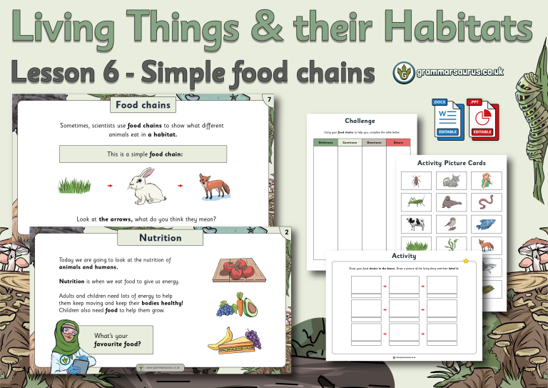 Year 2 Science Living Things and their Habitats Simple Food Chains