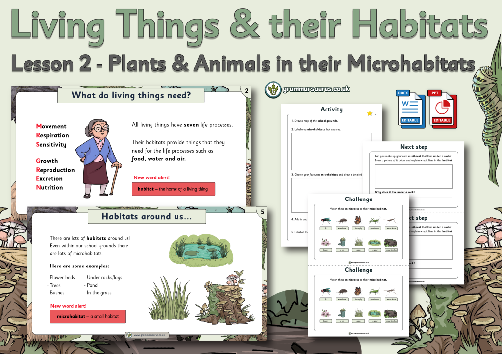 Year 2 Science - Living Things And Their Habitats - Plants And Animals ...