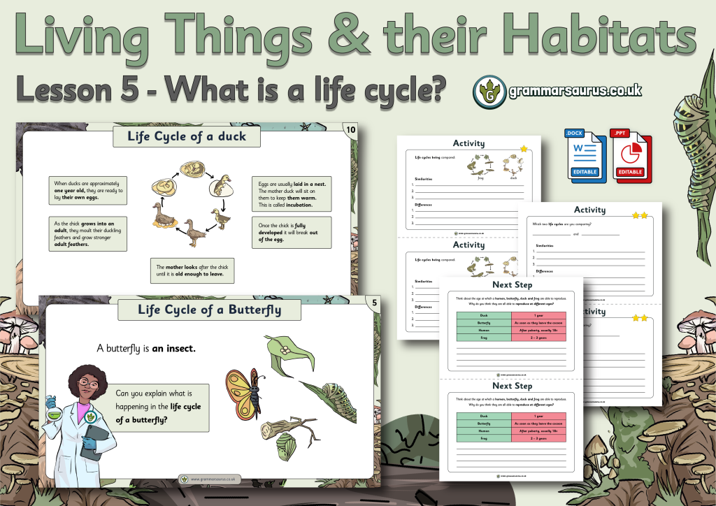 life cycle homework year 5