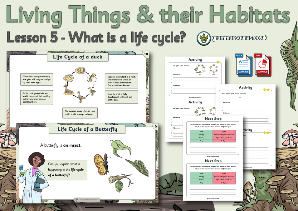 Year 5 Science - Living Things and their Habitats - Life Cycles of Animals  - Lesson 5 - Grammarsaurus