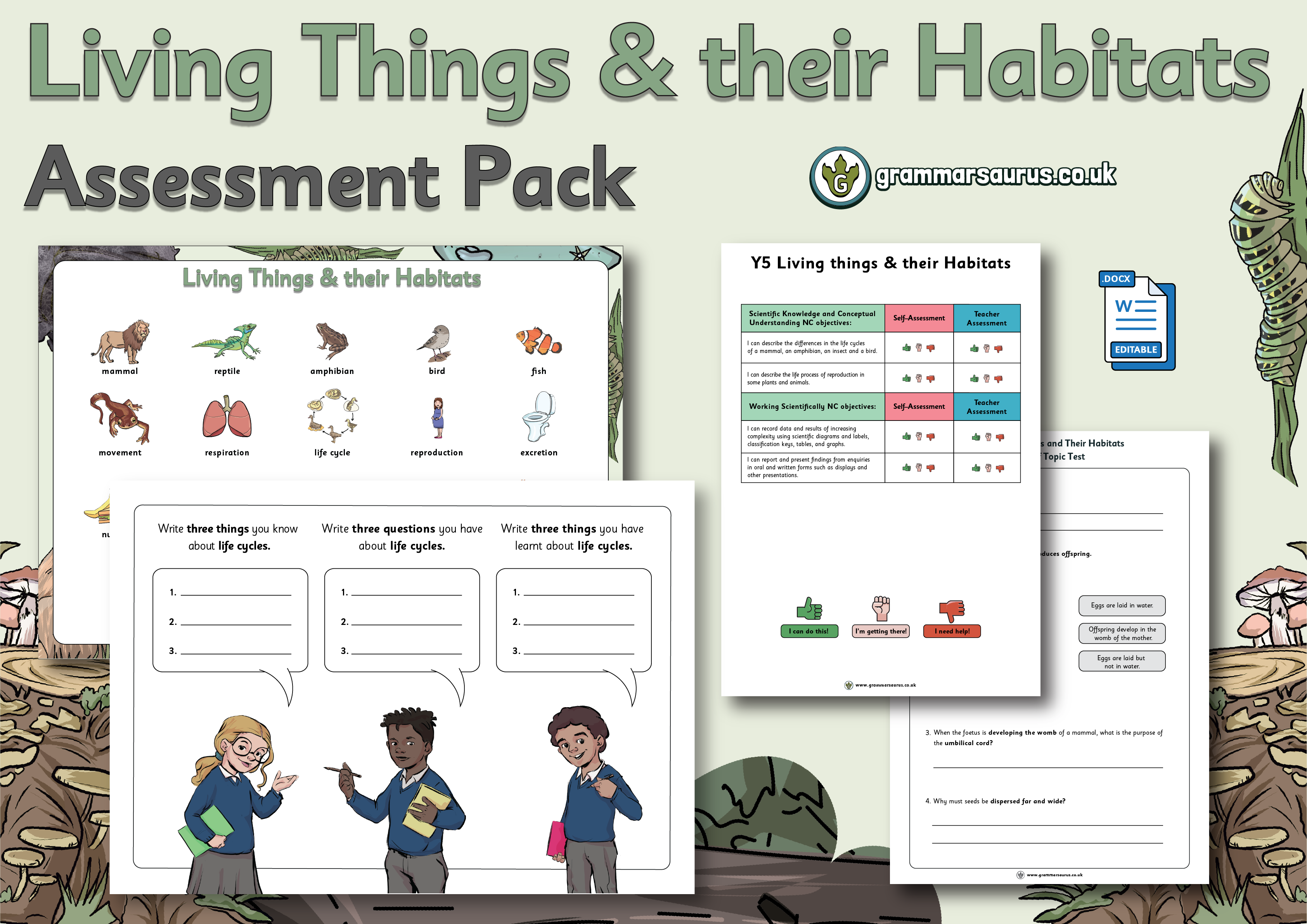 Year 5 Science - Living Things And Their Habitats - Assessment Pack ...