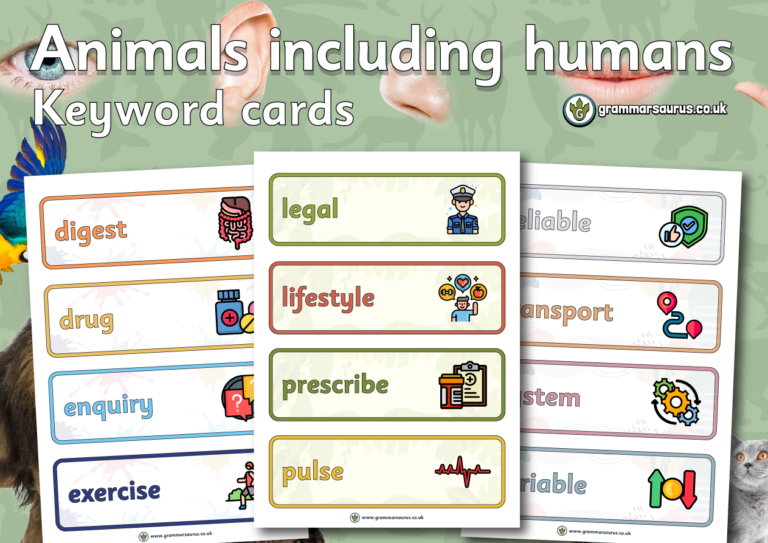 Year 6 Science – Animals including humans – Keyword cards - Grammarsaurus
