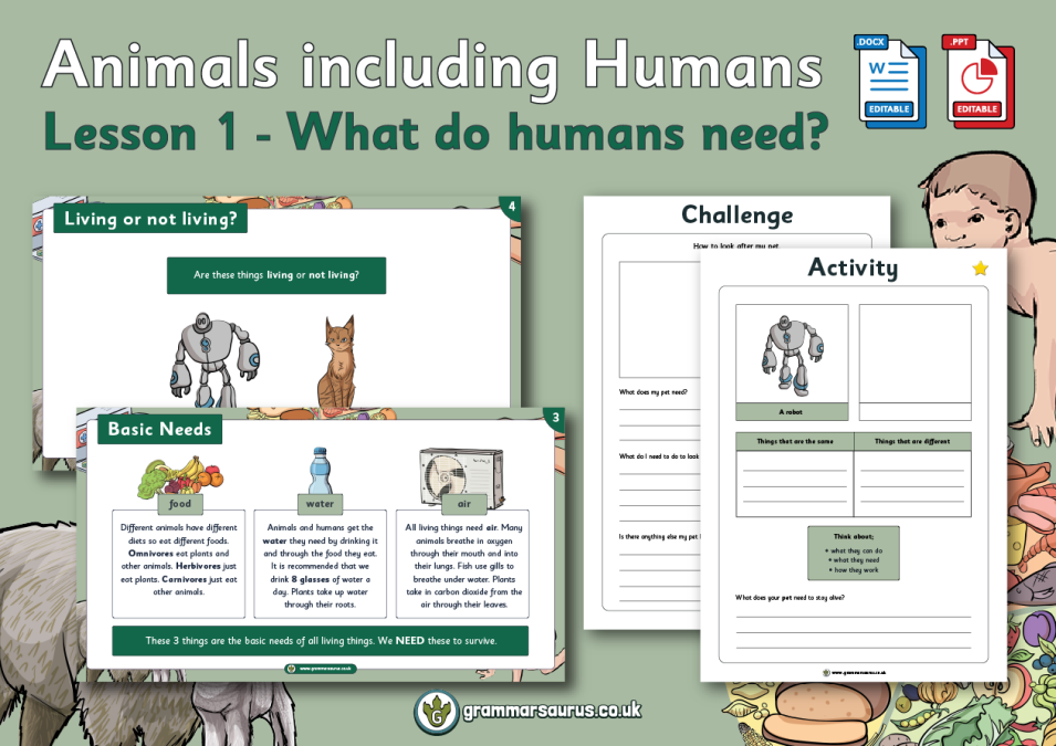 Year 2 Science - Animals including Humans - What do humans need? Lesson 1 -  Grammarsaurus