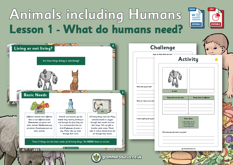 Year 2 Animals including Humans - Grammarsaurus