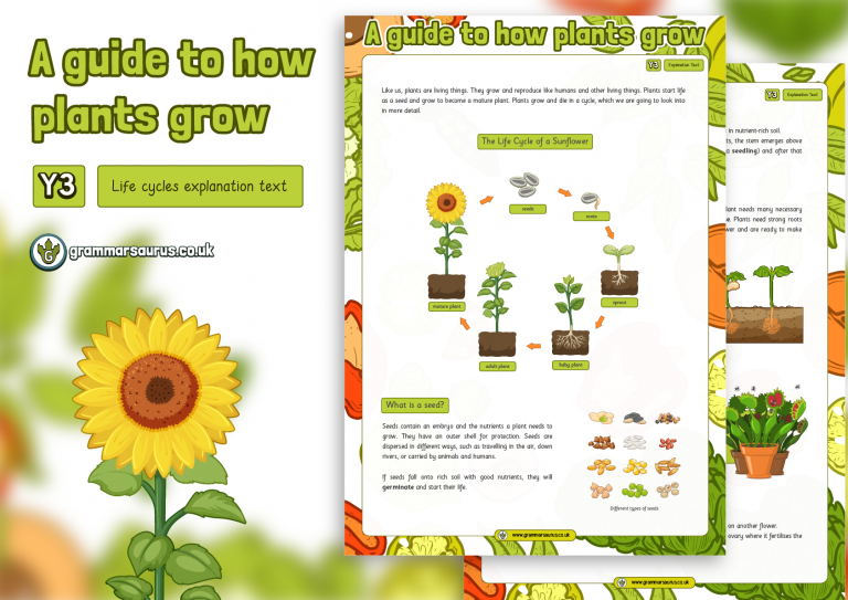 Year 3 Model Text Explanation A guide to how plants grow ( gbsct P3