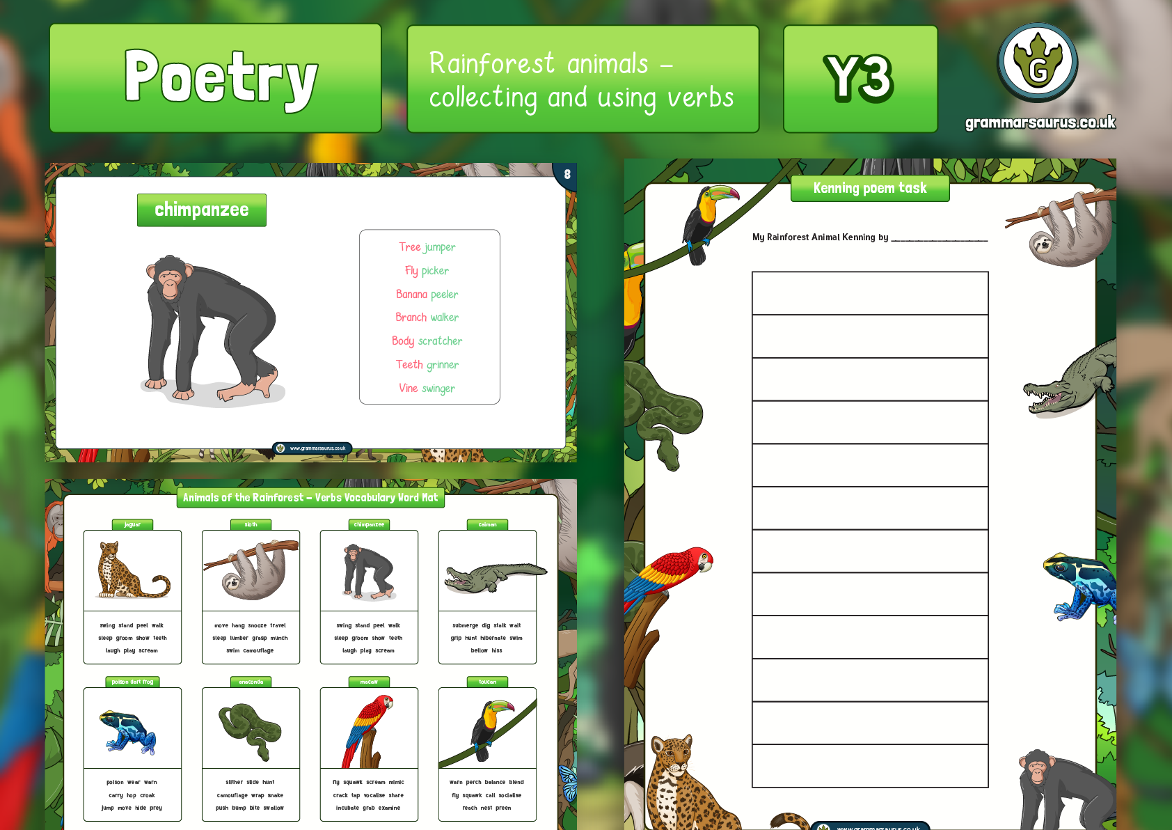 Year 3 Poetry Pack - Rainforest Animals - Grammarsaurus