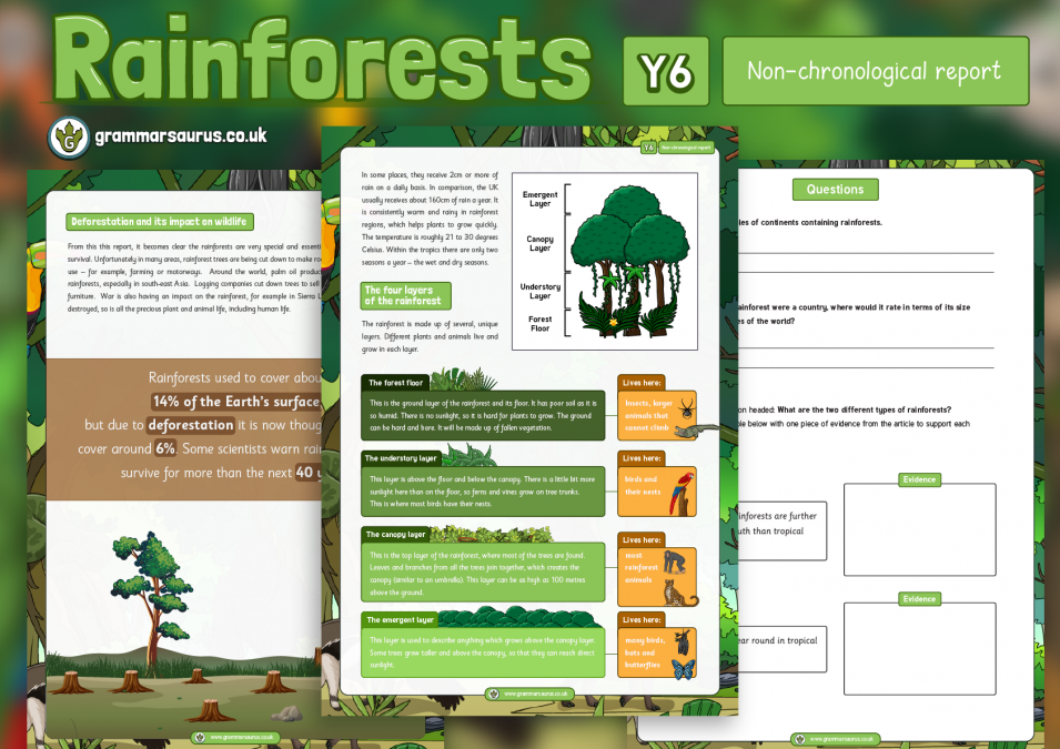 Year 6 Model Text - Non-chronological Report - Rainforests ( gbsct P6 ...