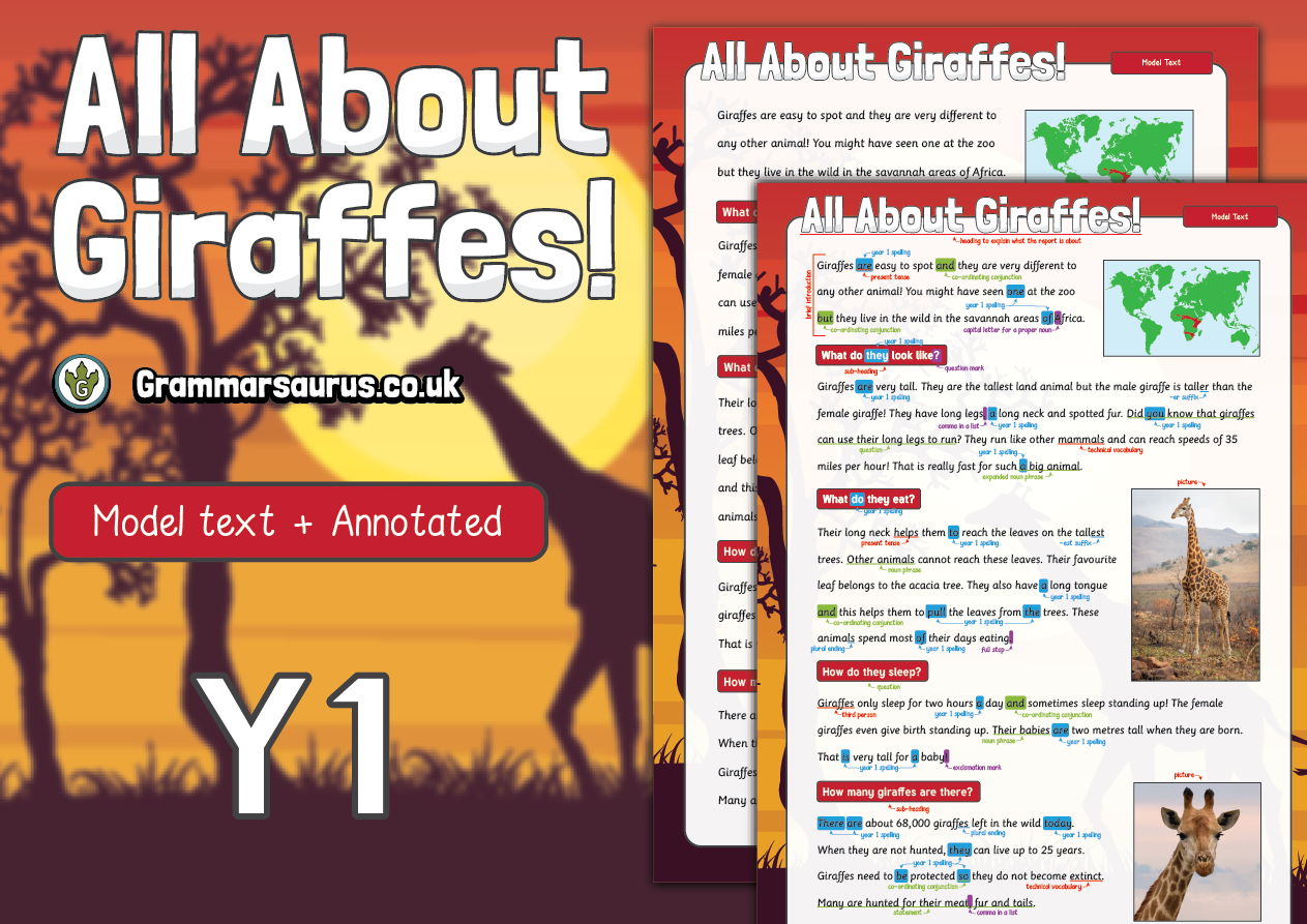 Year 1 Model Text - Non-chronological report - All About Giraffes  (🏴󠁧󠁢󠁳󠁣󠁴󠁿 P1, 🇦🇺🇺🇸 Kindergarten & 🇮🇪 Senior infants) -  Grammarsaurus