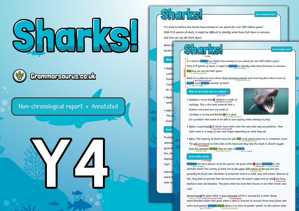 Chronological reports templates picture