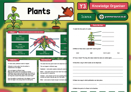 Year 3 Science Plants Knowledge Organiser Grammarsaurus 4138