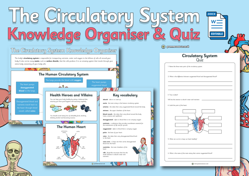 Year 6 Science - Animals including Humans - Circulatory System ...