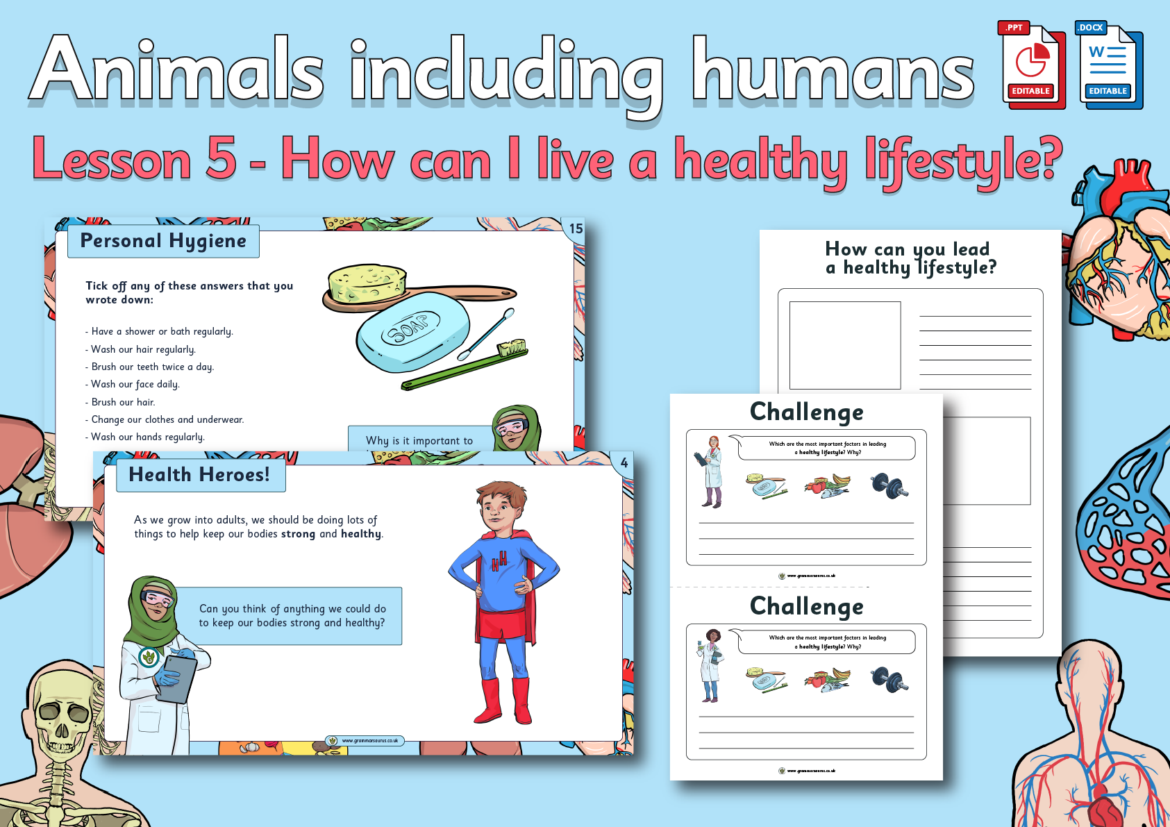 animals including humans year 6 homework