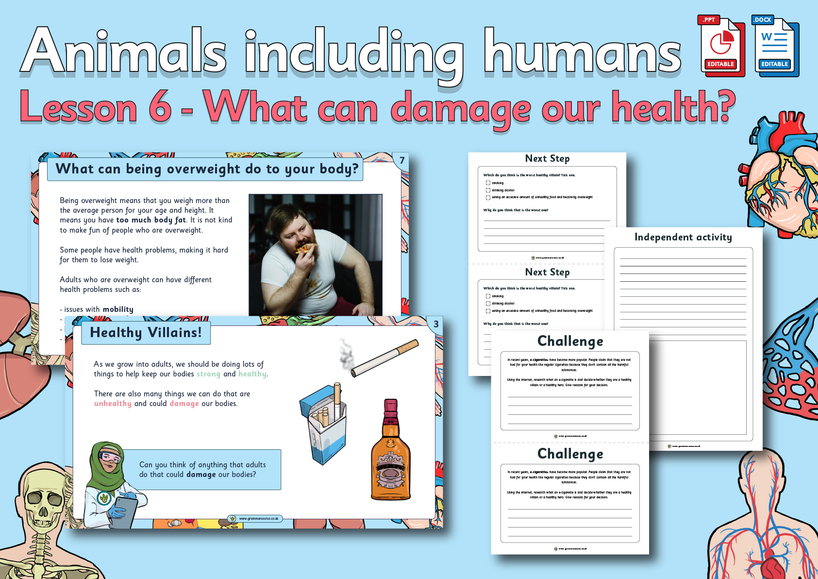 animals including humans year 6 homework