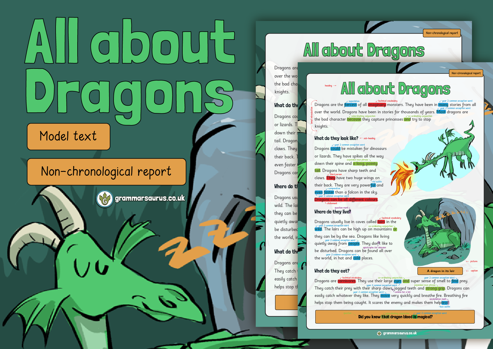 talk for writing non chronological reports dragon