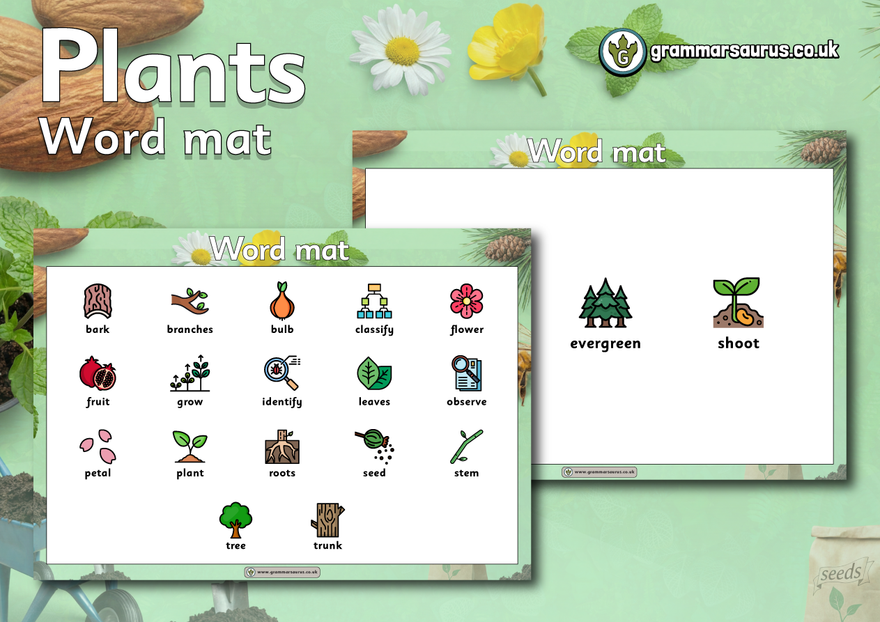 Year 1 Science - Plants - Word mat - Grammarsaurus