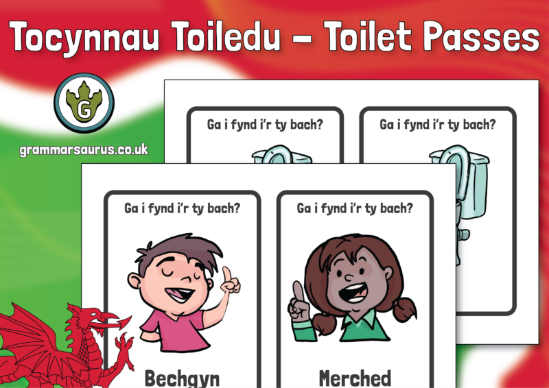 Tocynnau Toiledu - Welsh Toilet Passes - Grammarsaurus