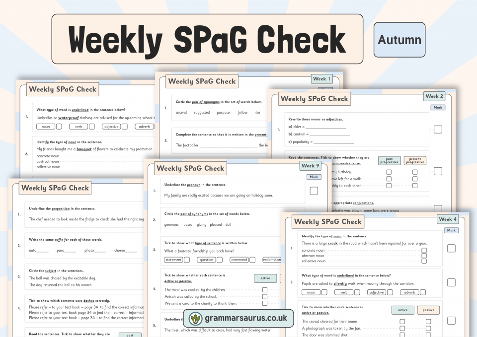 Spag Revision Pronouns Practice Worksheets Uk Teaching Resources 