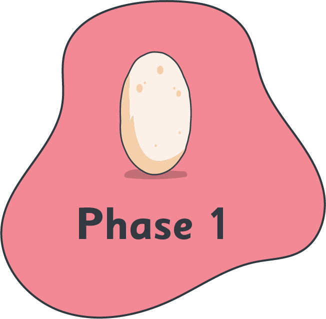 phase1-icon
