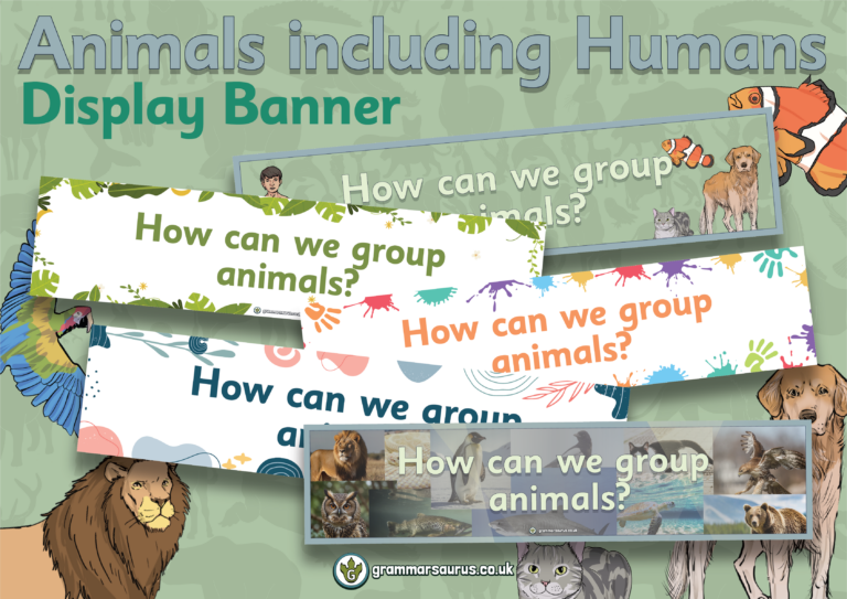 Year 1 Science - Animals including Humans - Display Banner - Grammarsaurus