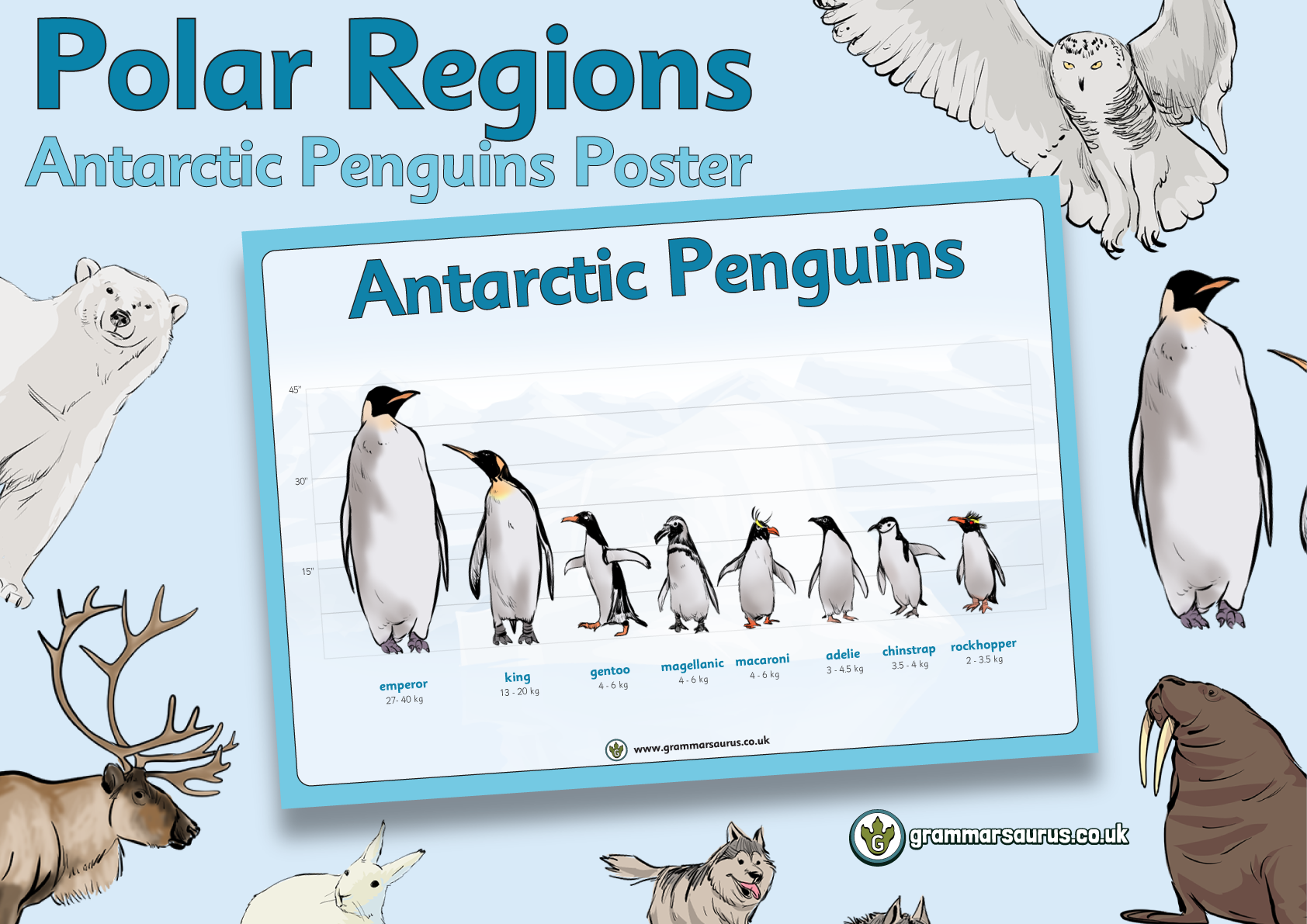 Polar Regions - Antarctic Penguins - Grammarsaurus