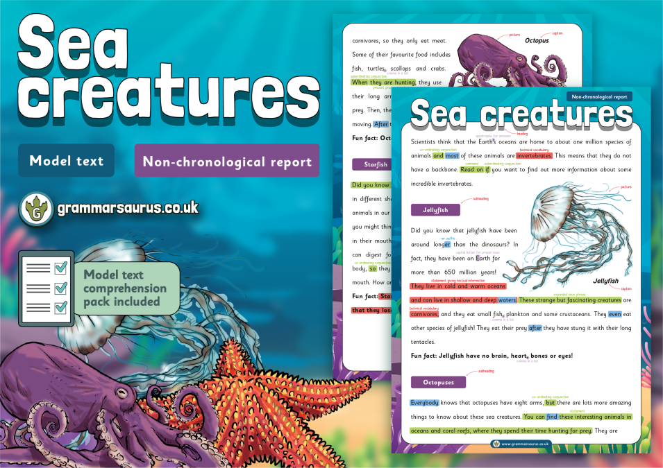 Year 2 Model Text - Non-chronological report - Sea creatures  (🏴󠁧󠁢󠁳󠁣󠁴󠁿 P2 ,🇦🇺🇺🇸 Grade 1& 🇮🇪 First Class) - Grammarsaurus
