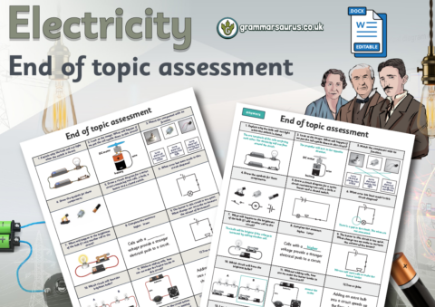 Year 6 Science - Electricity - End of topic assessment - Grammarsaurus