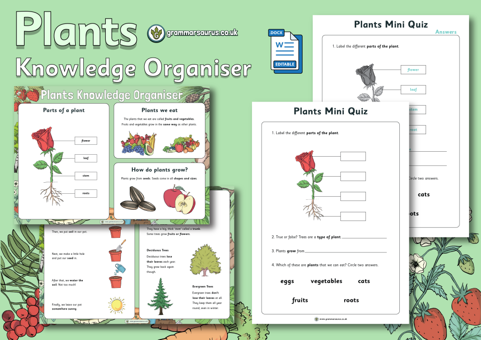 Year 1 - Science - Plants - Knowledge Organiser - Grammarsaurus