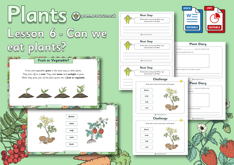 Year 1 Science - Plants - Can we eat plants? Lesson 6 - Grammarsaurus