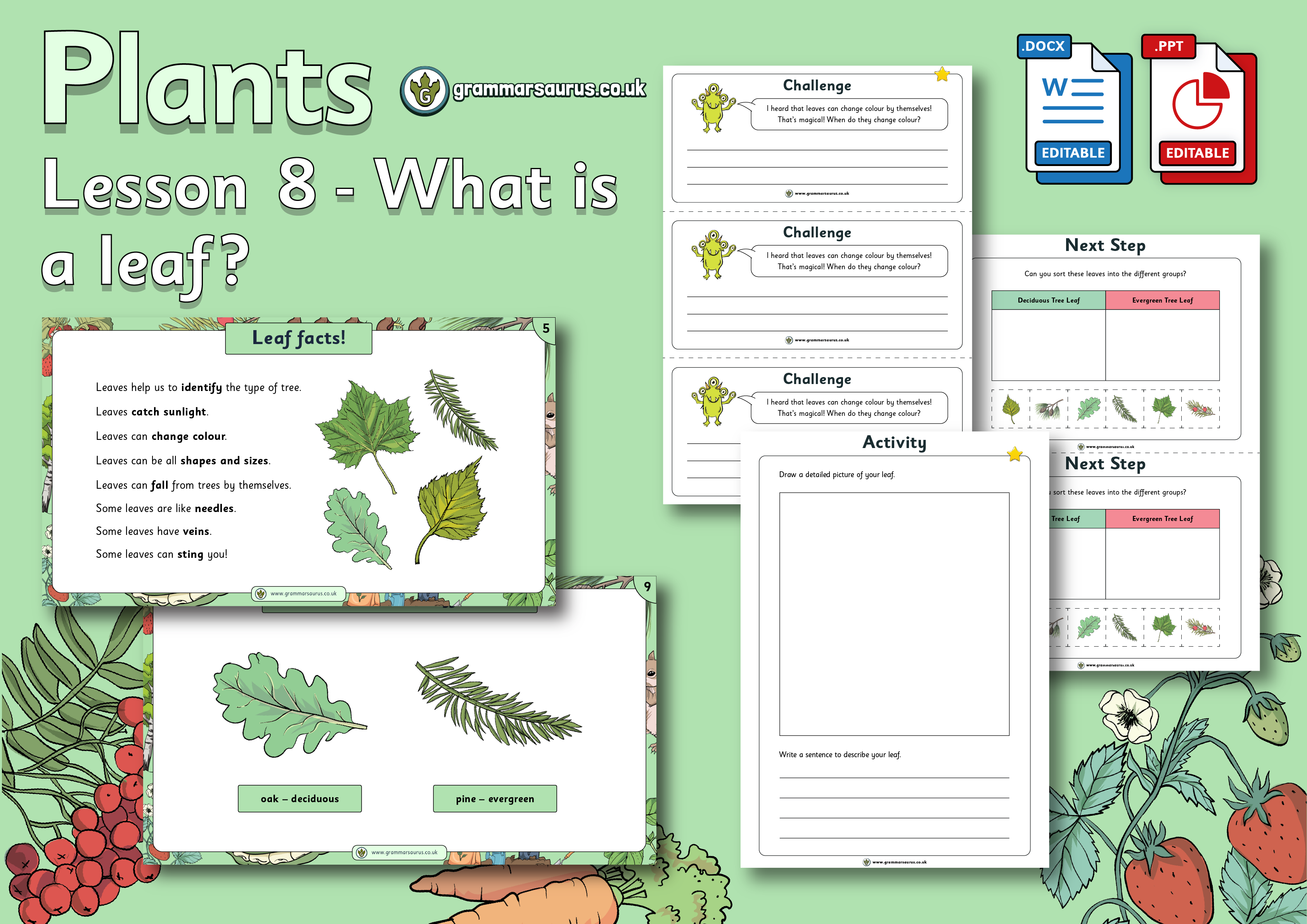 Year 1 Science - Plants - What Is A Leaf? Lesson 8 - Grammarsaurus