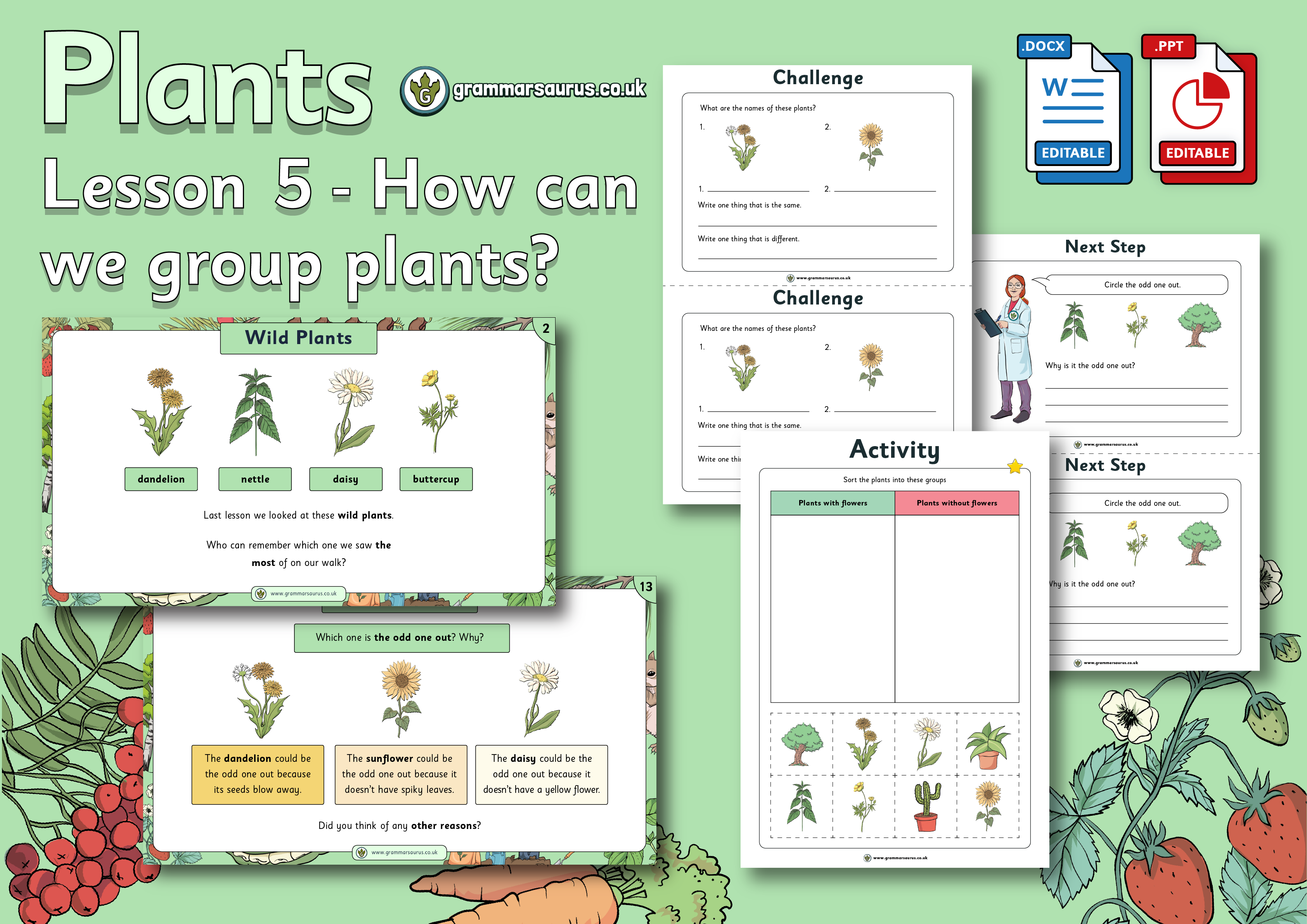 Year 1 Science - Plants - How can we group plants? Lesson 5 - Grammarsaurus