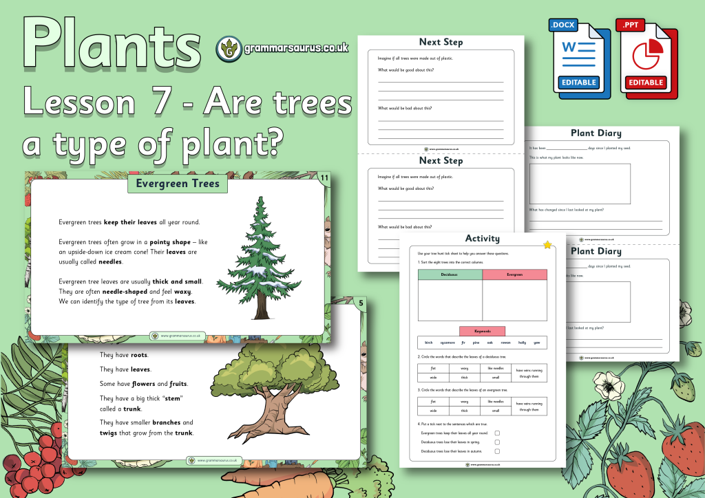 Year 1 Science - Plants - Are trees a type of plant? Lesson 7 ...