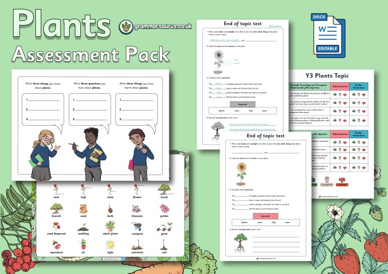 Year 1 Science Plants Assessment Pack Grammarsaurus 5241