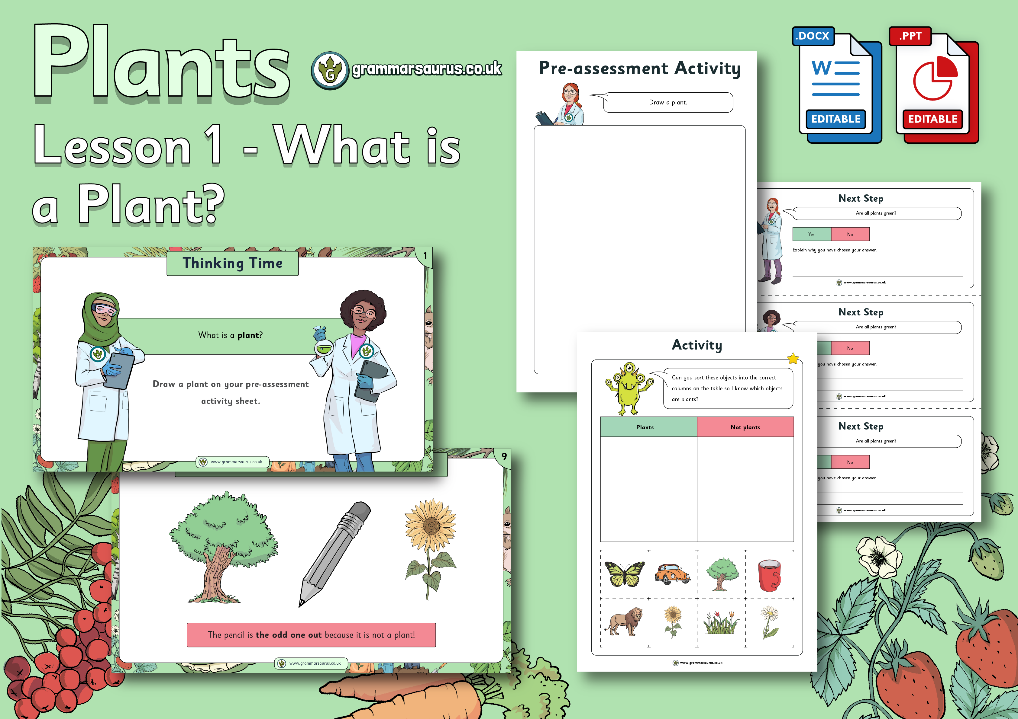 Year 1 Science - Plants - What is a Plant? Lesson 1 - Grammarsaurus