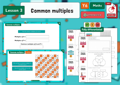 Year 6 Addition, Subtraction, Multiplication and Division – Common ...