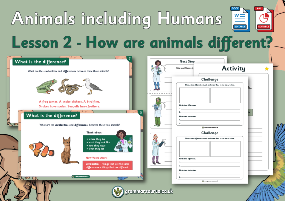 Year 1 Science - Animals including Humans - How are animals different?  Lesson 2 - Grammarsaurus