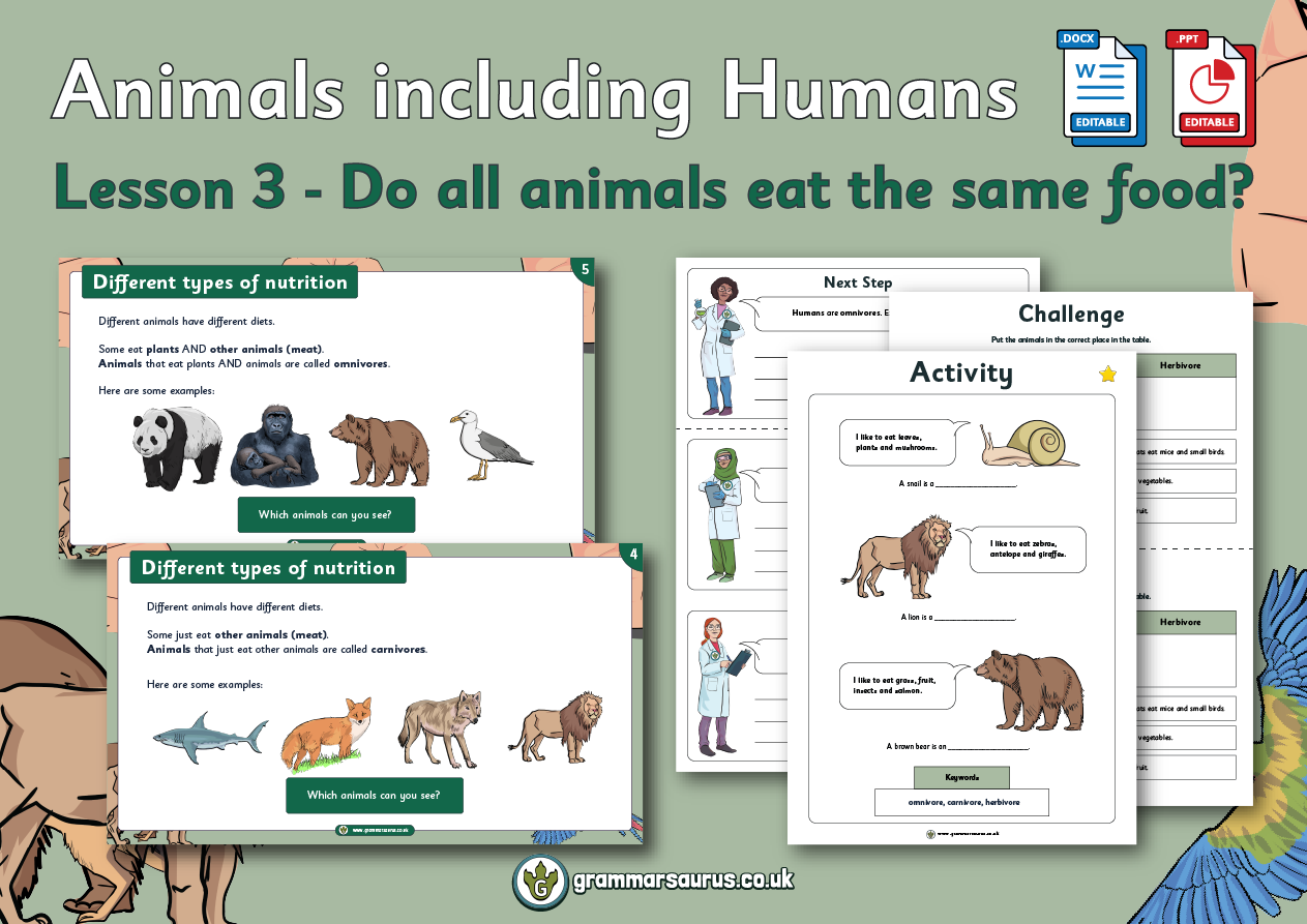 Year 1 Science - Animals including Humans - Do all animals eat the same food?  Lesson 3 - Grammarsaurus