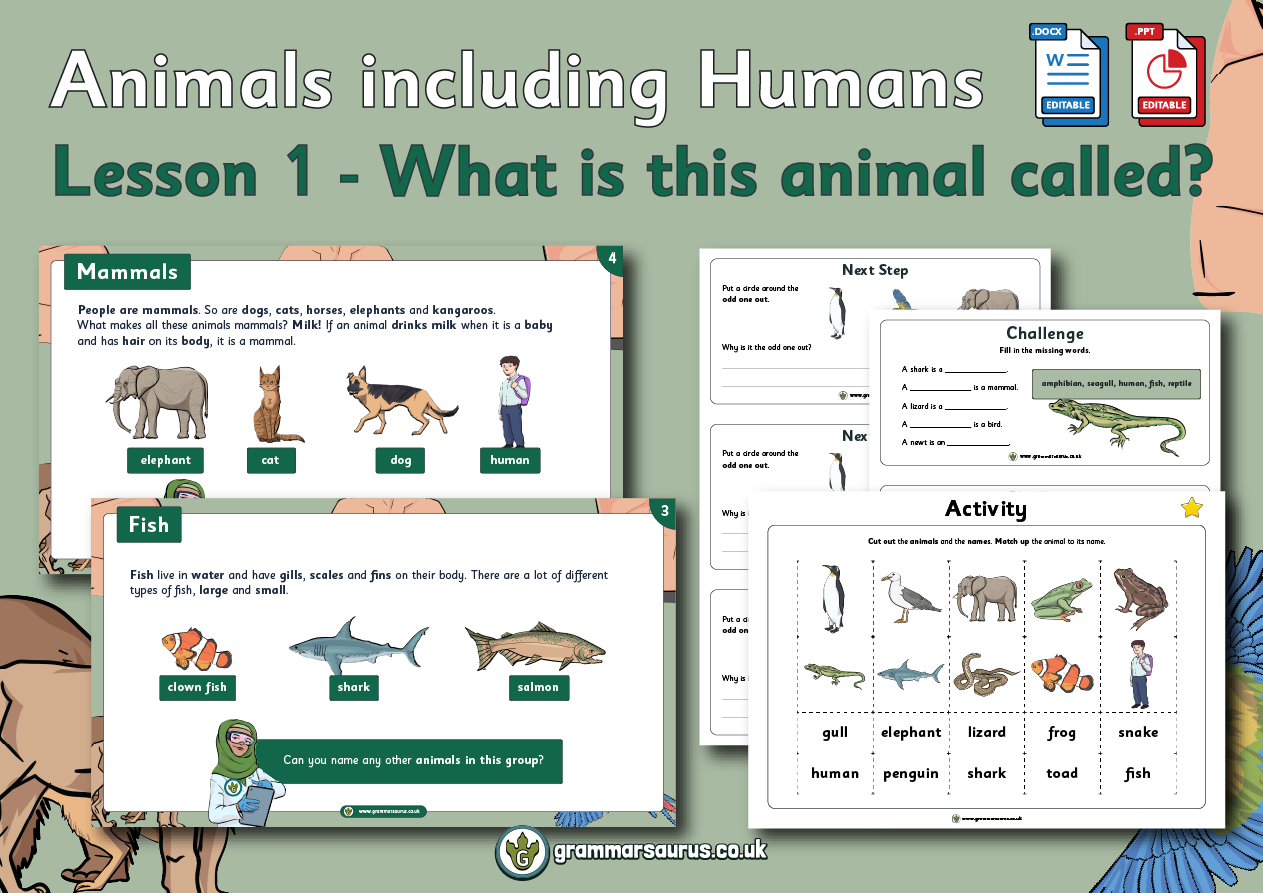 Year 1 Science - Animals including Humans - What is this animal called? -  Lesson 1 - Grammarsaurus