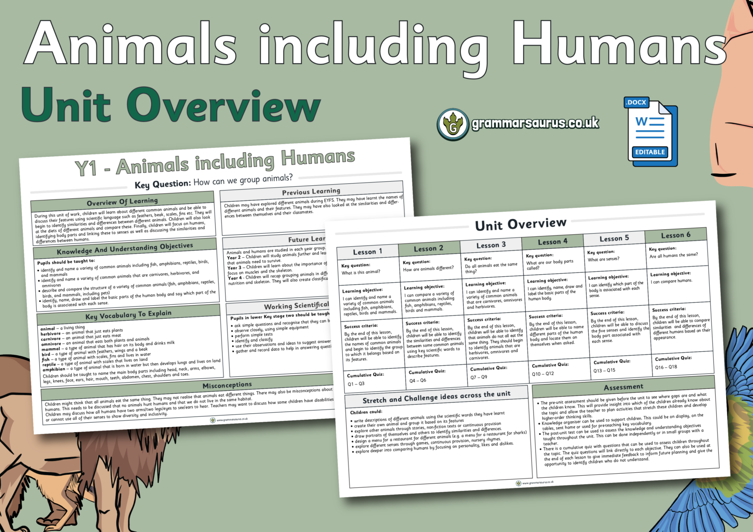 Year 1 Science - Animals Including Humans - Unit Overview - Grammarsaurus