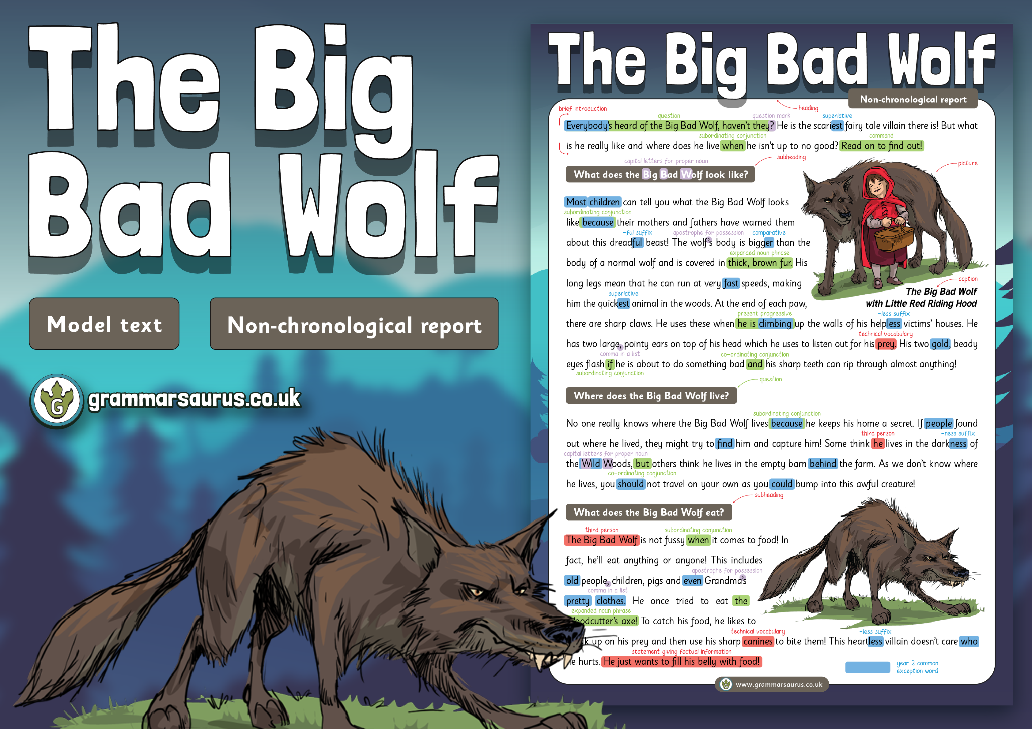 Year 2 Model Text – Non-chronological report – Big Bad Wolf ( gbsct P2 ...