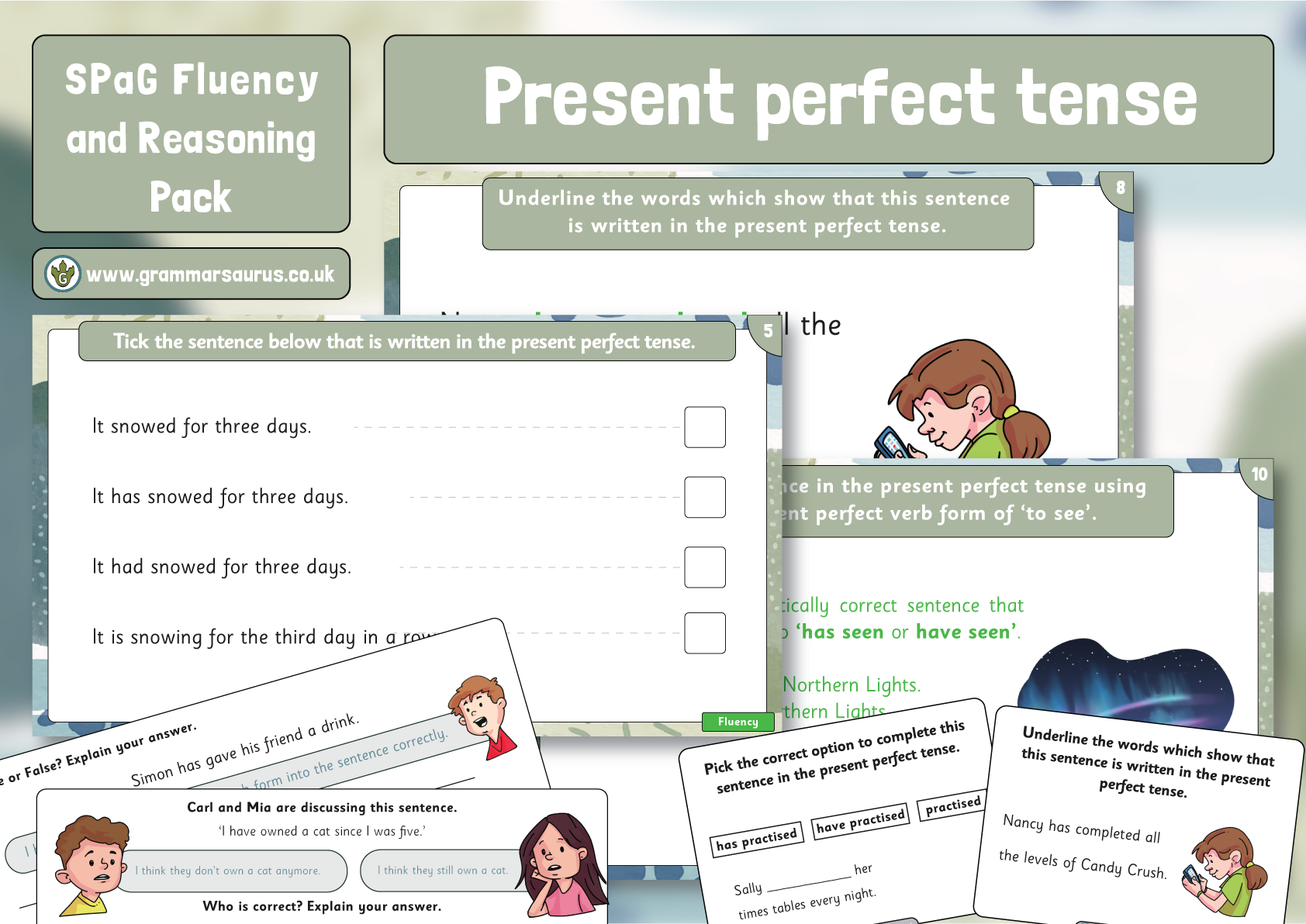 Spag Fluency Reasoning Pack Past Or Present Perfect Tense Hot Sex Picture 