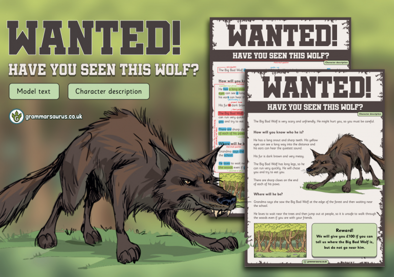 Year 1 Model Text Character description Wanted! Have you seen this